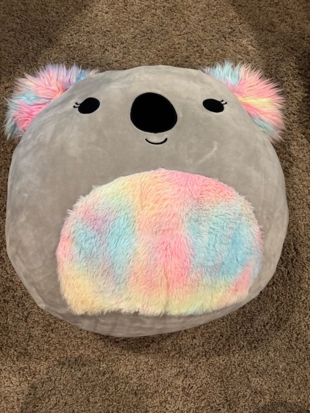 Huge Koala Squishmallow